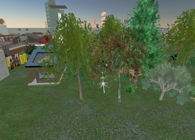 Peter Krogstad's backyard in Stratus